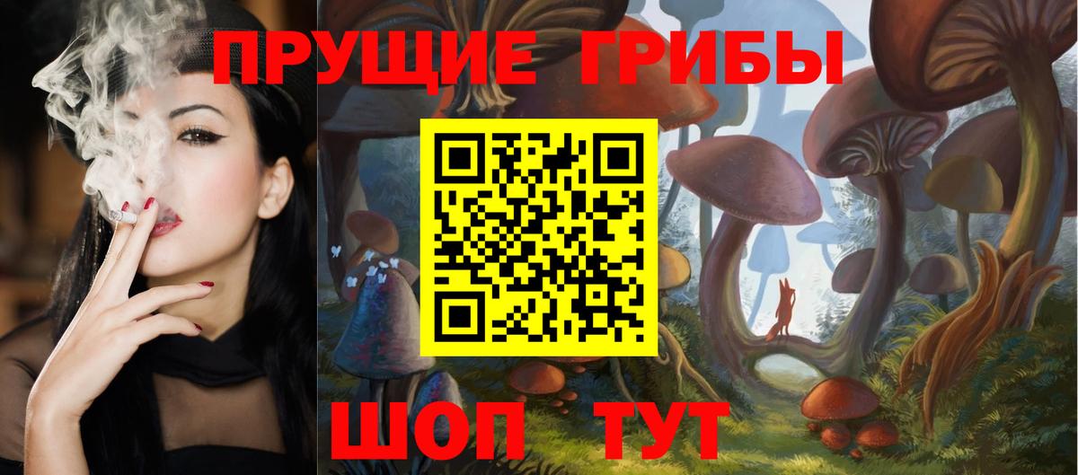 Галлюциногенные грибы Magic Shrooms  Галлюциногенные грибы Psilocybe  Вход с VPN  где найти наркотики  Кудрово 
